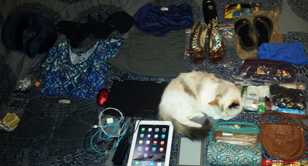 How to Pack for a Week In a Free Personal Item Bag Even with